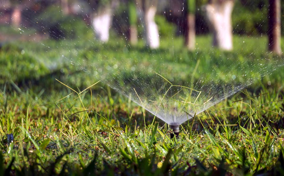 Pop-up sprinkler head watering vibrant green turf on a sunny day